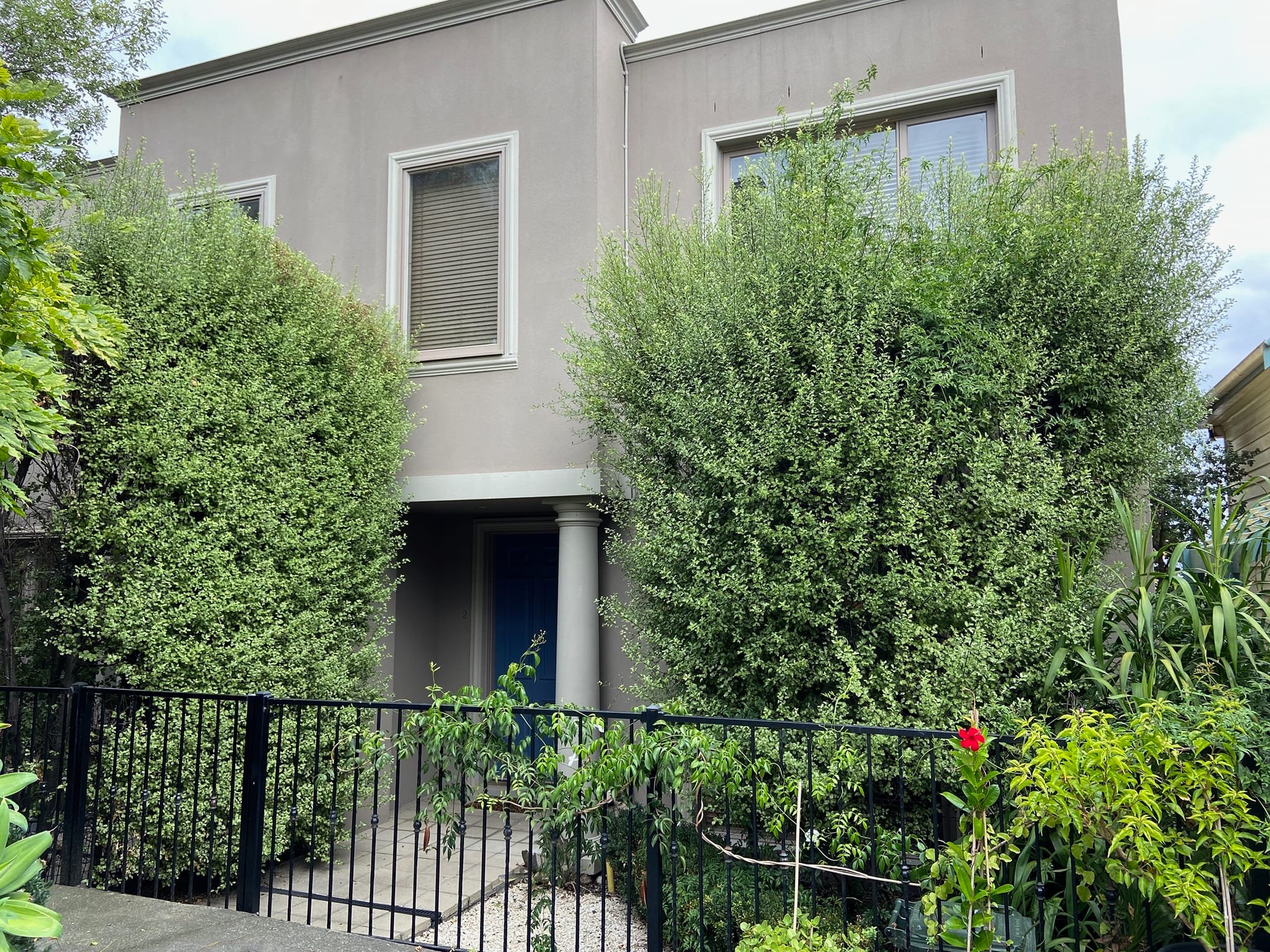 Bulky hedge outside residential home trimming services Melbourne